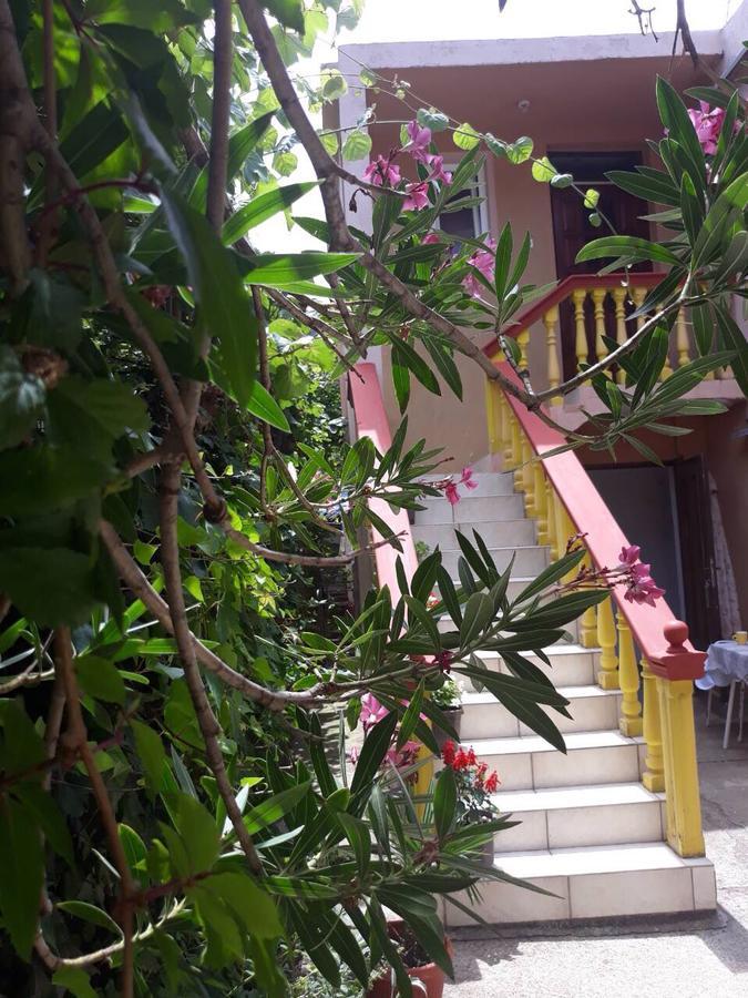 סוטומורה Apartman Tatjana מראה חיצוני תמונה